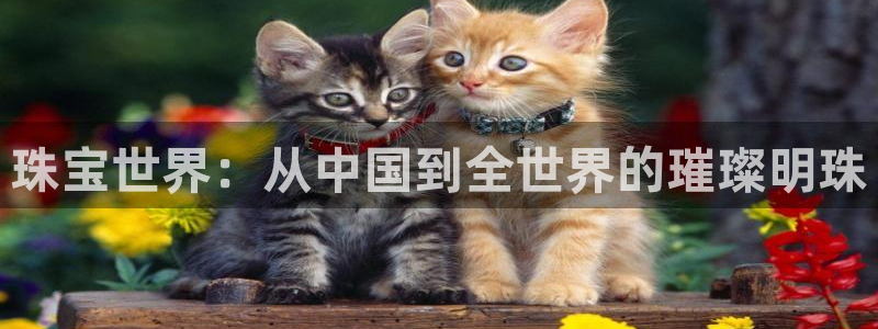 新宝5网站