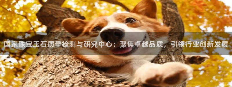新宝5寻33 300球