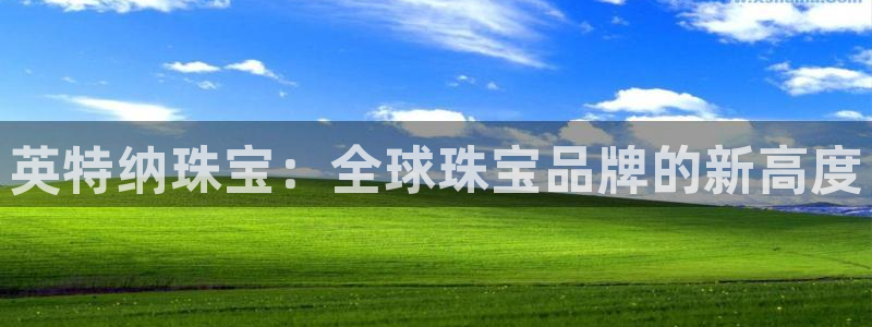 新宝5源码