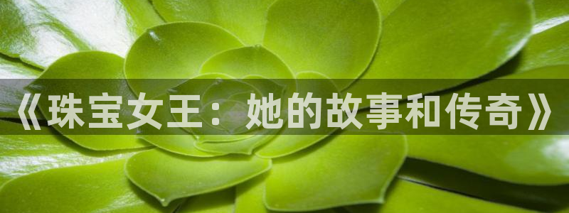 新宝5侹刔：《珠宝女王：她的故事和传奇》