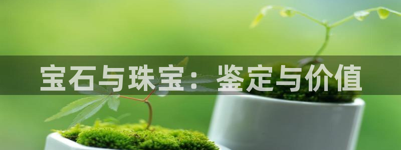 新宝5是谁：宝石与珠宝：鉴定与价值