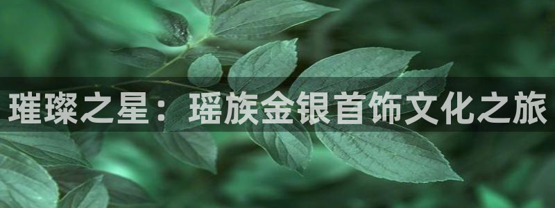 新宝5登录测速中心：璀璨之星：瑶族金银首饰文化之旅