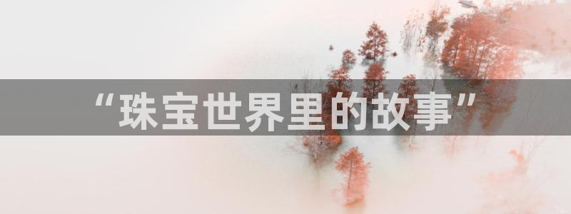 新宝5娱乐注：“珠宝世界里的故事”
