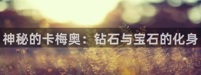 新宝5 代理：神秘的卡梅奥：钻石与宝石的化身