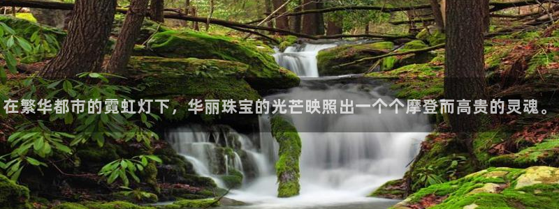 新宝5平台注册公司：在繁华都市的霓虹灯下，华丽珠宝的光芒映照出一个个摩登而高贵的