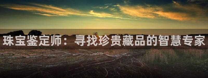2022新宝骏rs 5：珠宝鉴定师：寻找珍贵藏品的智慧专家