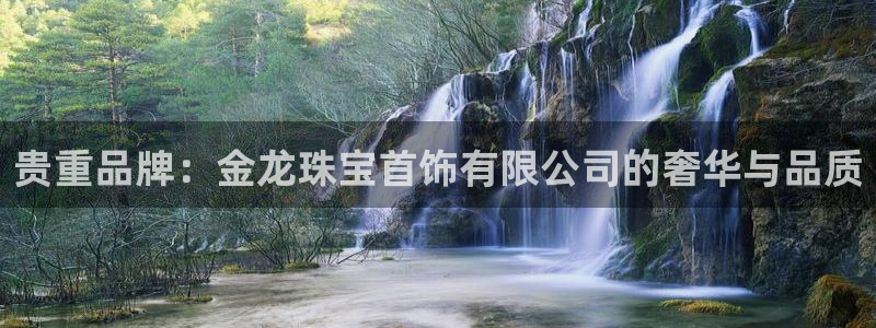 新宝5策略：贵重品牌：金龙珠宝首饰有限公司的奢华与品质