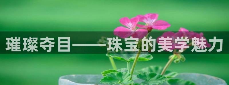 新宝5代理注册：璀璨夺目——珠宝的美学魅力