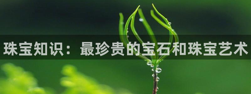 新宝5测速：珠宝知识：最珍贵的宝石和珠宝艺术