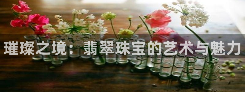 新宝注5册：璀璨之境：翡翠珠宝的艺术与魅力