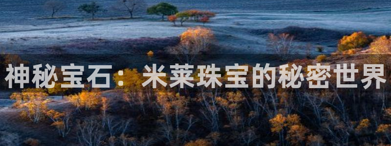 新宝5娱乐：神秘宝石：米莱珠宝的秘密世界
