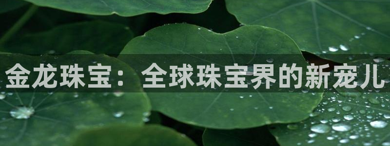 新宝5注册首页：金龙珠宝：全球珠宝界的新宠儿