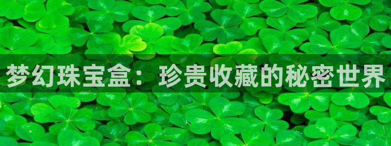 新宝5登录注册：梦幻珠宝盒：珍贵收藏的秘密世界