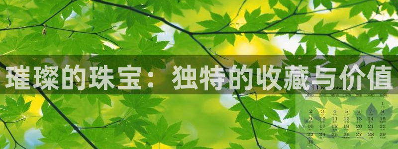 新宝5注册首页：璀璨的珠宝：独特的收藏与价值