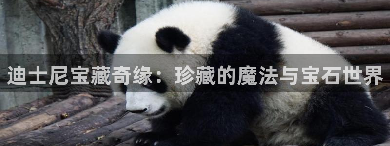 新宝3得74OO5：迪士尼宝藏奇缘：珍藏的魔法与宝石世界