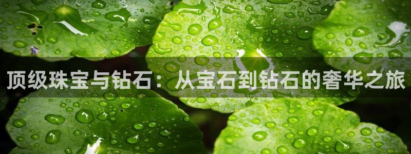 新宝速5：顶级珠宝与钻石：从宝石到钻石的奢华之旅