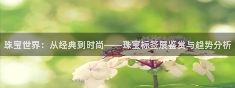 新宝5-：珠宝世界：从经典到时尚——珠宝标签展鉴赏与趋势分析