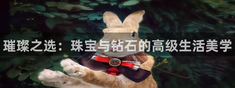 新宝5新宝6顺达：璀璨之选：珠宝与钻石的高级生活美学