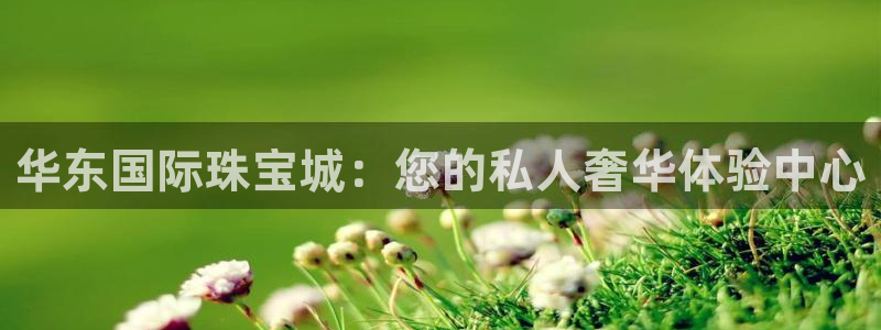 新宝股东王听2 5 5：华东国际珠宝城：您的私人奢华体验中心