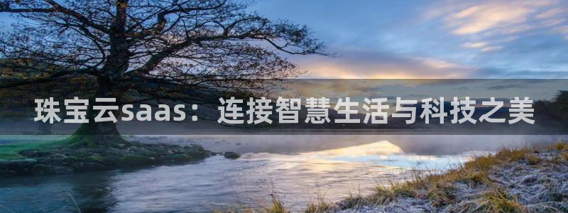 新宝b2O5O5O：珠宝云saas：连接智慧生活与科技之美
