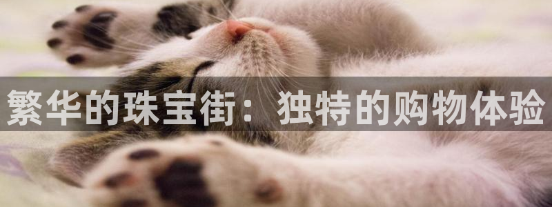 i新宝5：繁华的珠宝街：独特的购物体验