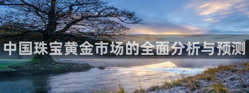 新宝5球维33 300：中国珠宝黄金市场的全面分析与预测