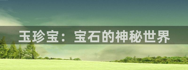 新宝6霸哥5：玉珍宝：宝石的神秘世界