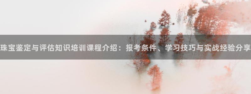 新宝5账号注册：珠宝鉴定与评估知识培训课程介绍：报考条件、学习技巧与实战经验分享