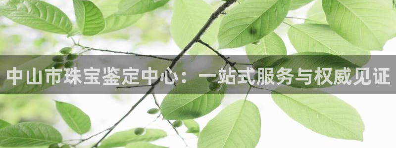 新宝5登录：中山市珠宝鉴定中心：一站式服务与权威见证