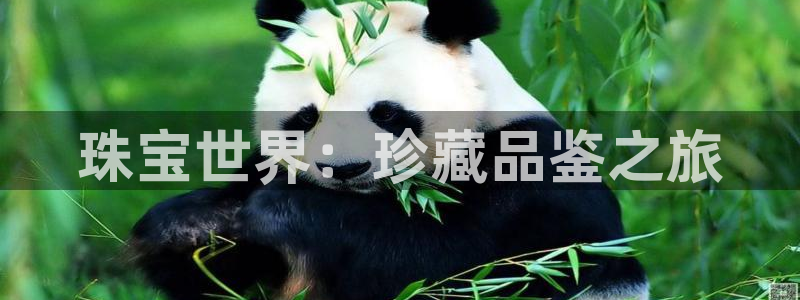 新宝5下载测试：珠宝世界：珍藏品鉴之旅