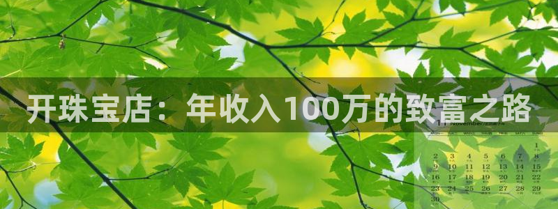新5宝：开珠宝店：年收入100万的致富之路