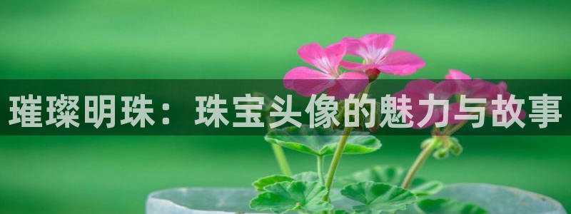 新宝5在哪里：璀璨明珠：珠宝头像的魅力与故事