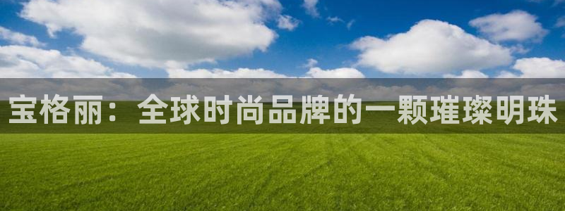 新宝5X：宝格丽：全球时尚品牌的一颗璀璨明珠