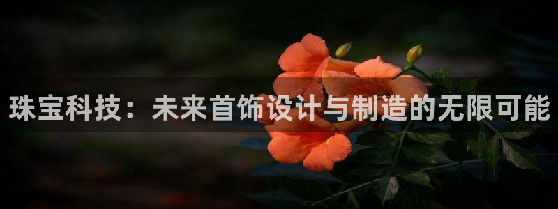 菲律宾新宝5老板：珠宝科技：未来首饰设计与制造的无限可能