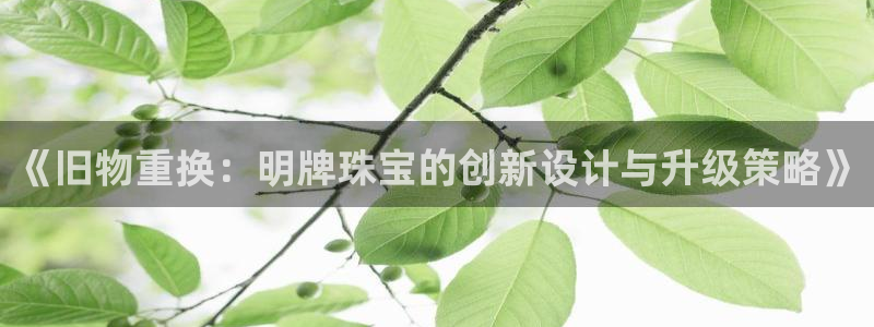 新宝5娱乐然：《旧物重换：明牌珠宝的创新设计与升级策略》