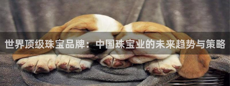 新宝5安卓版：世界顶级珠宝品牌：中国珠宝业的未来趋势与策略