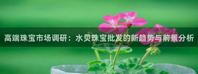 新宝集团新宝5：高端珠宝市场调研：水贝珠宝批发的新趋势与前景分析
