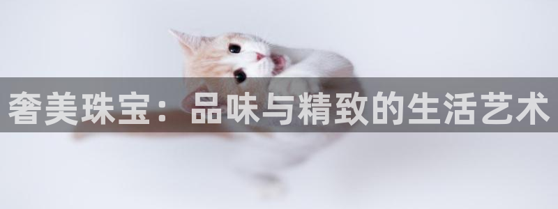 新宝5平台霸：奢美珠宝：品味与精致的生活艺术