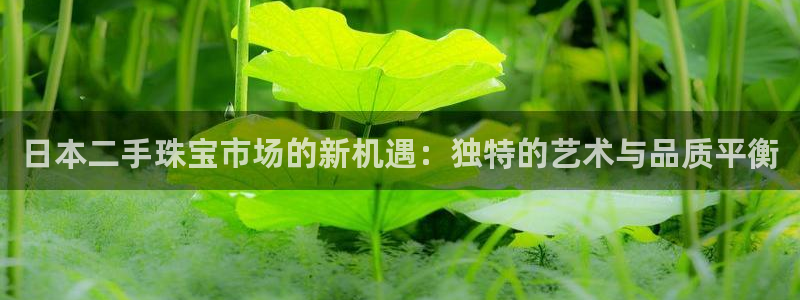 新宝5平台注册资金：日本二手珠宝市场的新机遇：独特的艺术与品质平衡