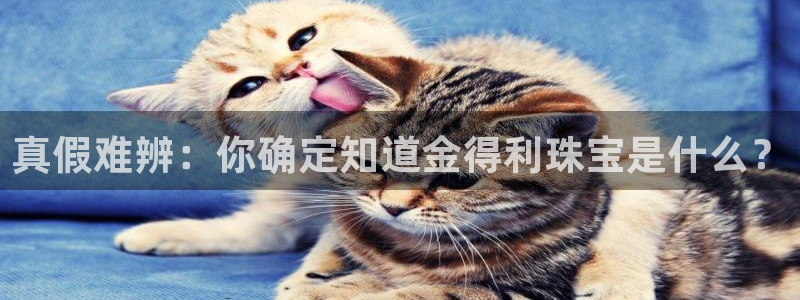 新宝5秒开：真假难辨：你确定知道金得利珠宝是什么？