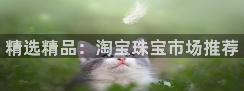 新宝5上来77542：精选精品：淘宝珠宝市场推荐