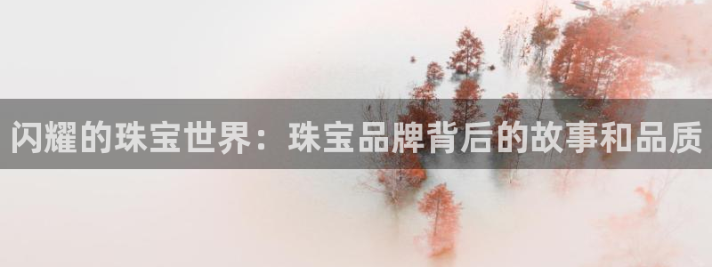 新宝5安卓版：闪耀的珠宝世界：珠宝品牌背后的故事和品质