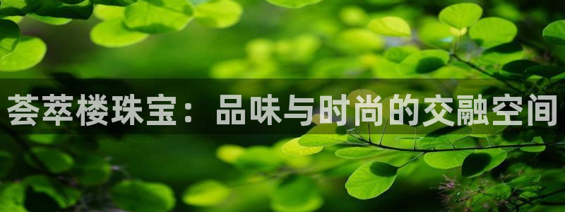 新宝5浗维33 300：荟萃楼珠宝：品味与时尚的交融空间