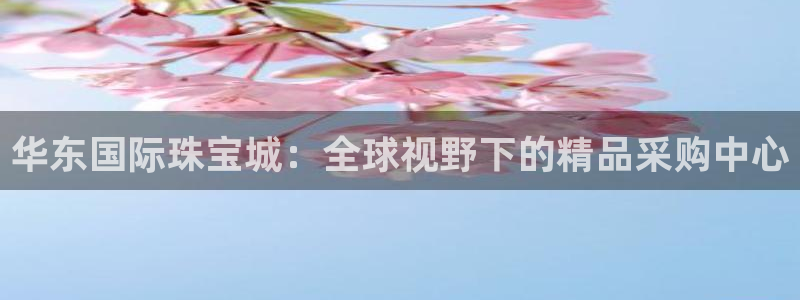 新宝h2O5O5O：华东国际珠宝城：全球视野下的精品采购中心