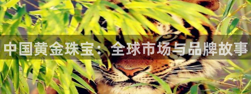 新宝j2O5O5O：中国黄金珠宝：全球市场与品牌故事