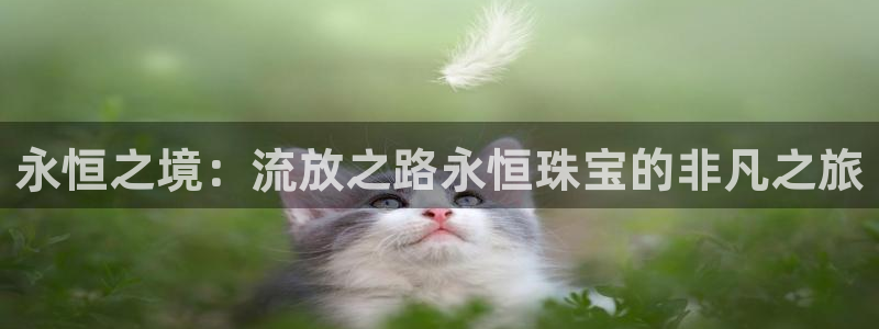 新宝5可靠吗：永恒之境：流放之路永恒珠宝的非凡之旅