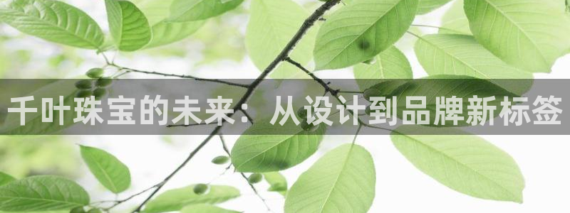 新宝5官网app：千叶珠宝的未来：从设计到品牌新标签