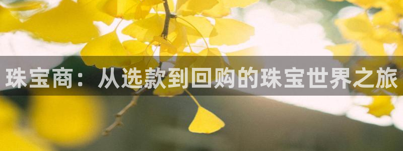 新宝5什么时候上市：珠宝商：从选款到回购的珠宝世界之旅