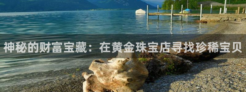 新宝5测速登陆：神秘的财富宝藏：在黄金珠宝店寻找珍稀宝贝