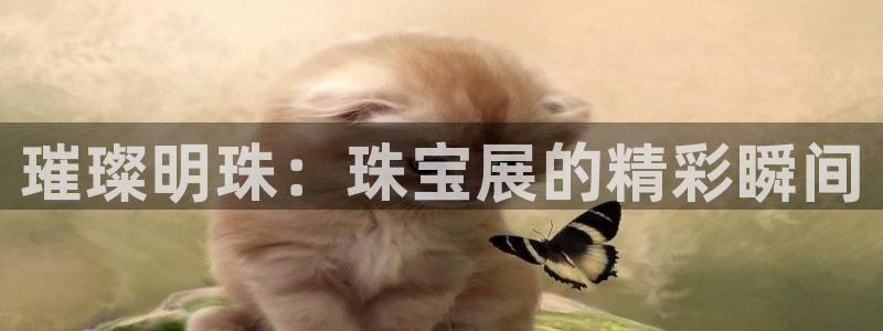 新宝5巅峰：璀璨明珠：珠宝展的精彩瞬间